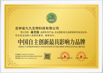 中国自主创新最具影响力品牌(图1)