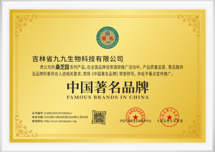 中国著名品牌(图1)