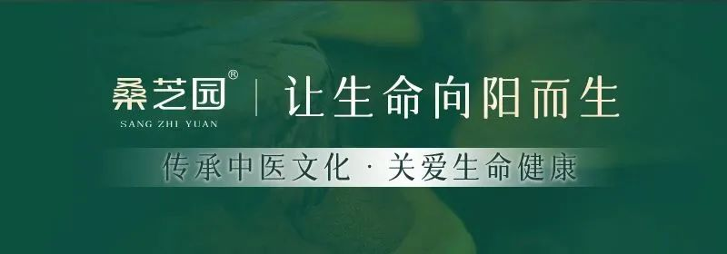 标准领航未来： 桑芝园推动桑黄纳入《吉林省食品安全地方标准》(图1)