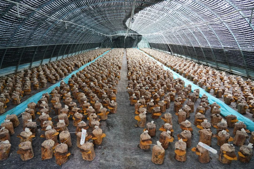 大健康产业蓬勃发展—让健康基层下沉到每个家庭(图7)