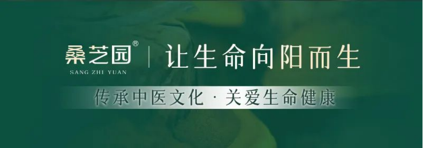 桑芝园，从“品质突围”到“行业驱动”实践(图1)