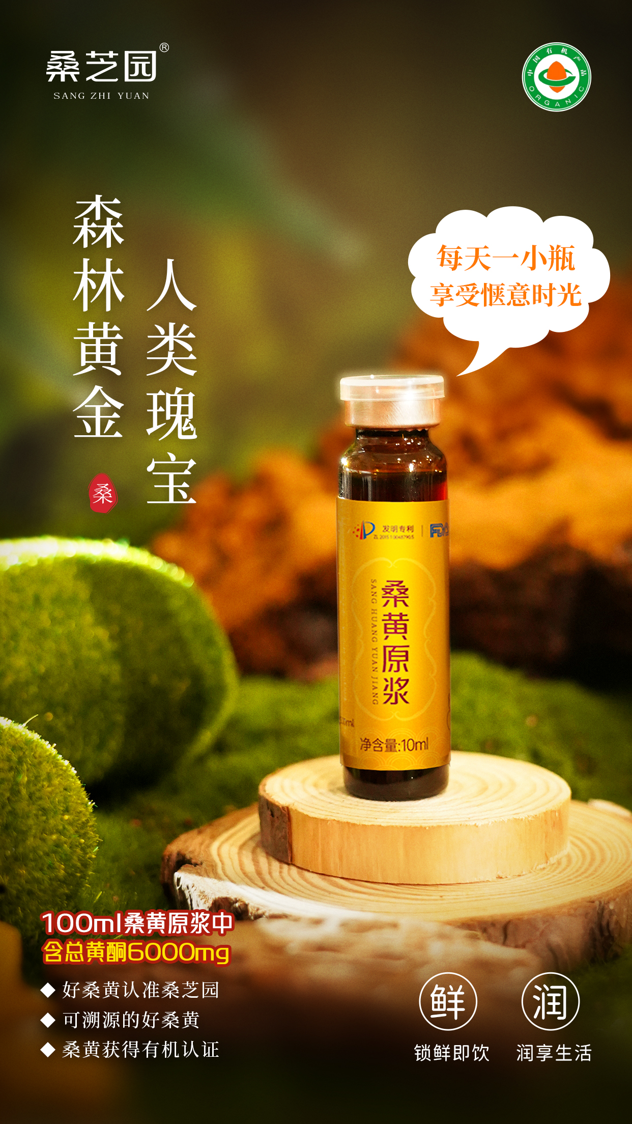 父爱如山，桑黄为盾 基于肝损伤防护研究的健康提案(图3)