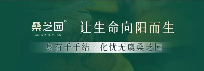 桑芝园，为阿尔茨海默病家庭点亮一盏灯(图1)