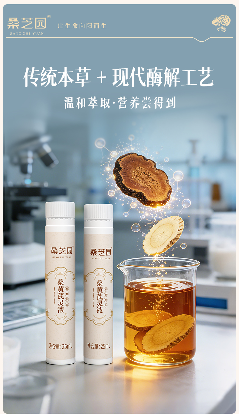 桑黄芪灵液(图3)
