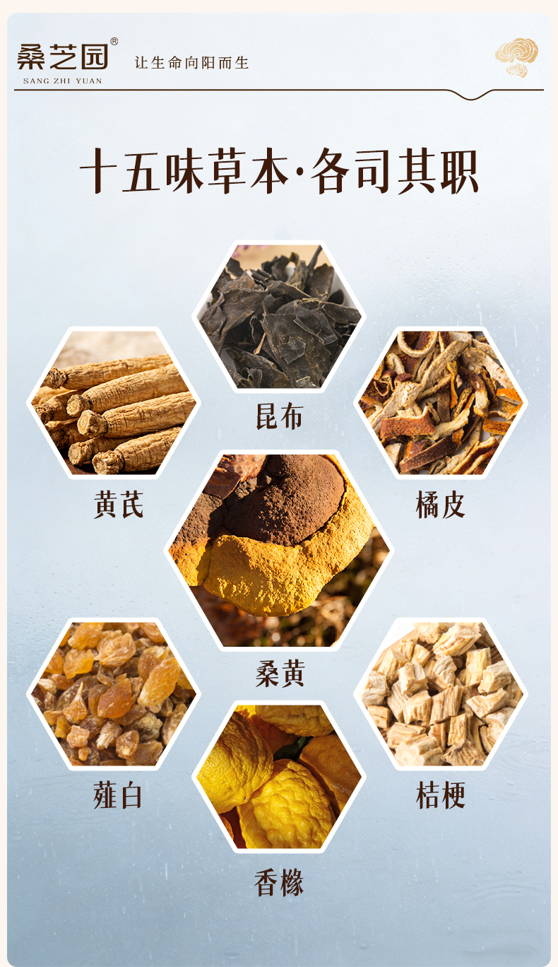 桑黄芪灵液(图5)