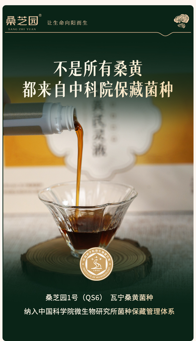 桑黄芪灵液(图8)