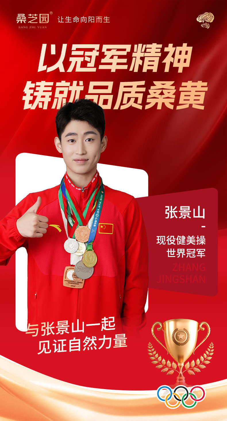 桑黄粉(图1)
